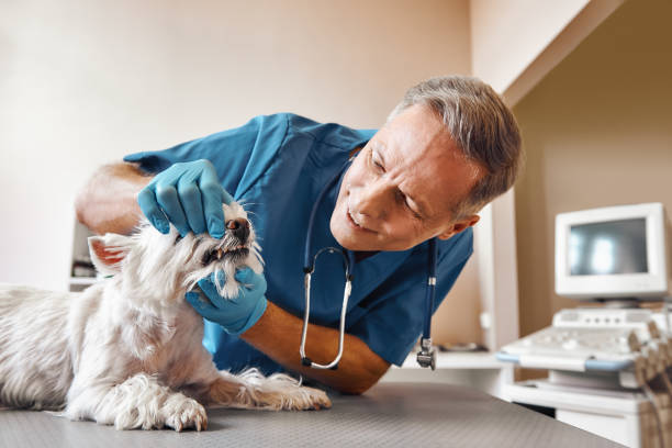 Best After-Hours Dental Care in Marietta, PA
